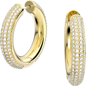 Auskarai Swarovski Dextera 5618305